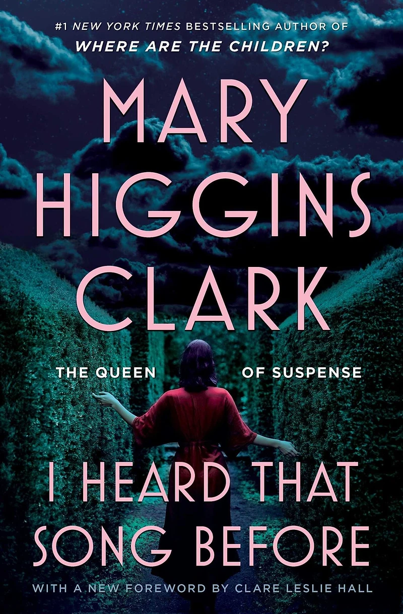 I Heard That Song Before: A Novel