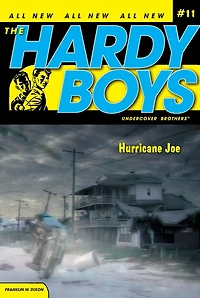 Hurricane Joe (Hardy Boys Undercover Brothers Series #11)