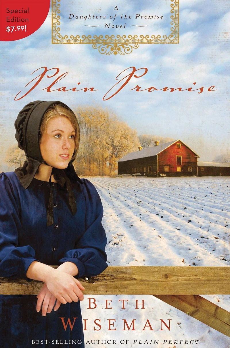 Plain Promise (Daughters of the Series #3)