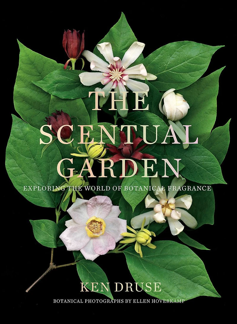 the Scentual Garden: Exploring World of Botanical Fragrance