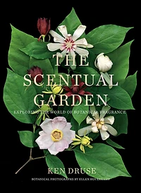 the Scentual Garden: Exploring World of Botanical Fragrance