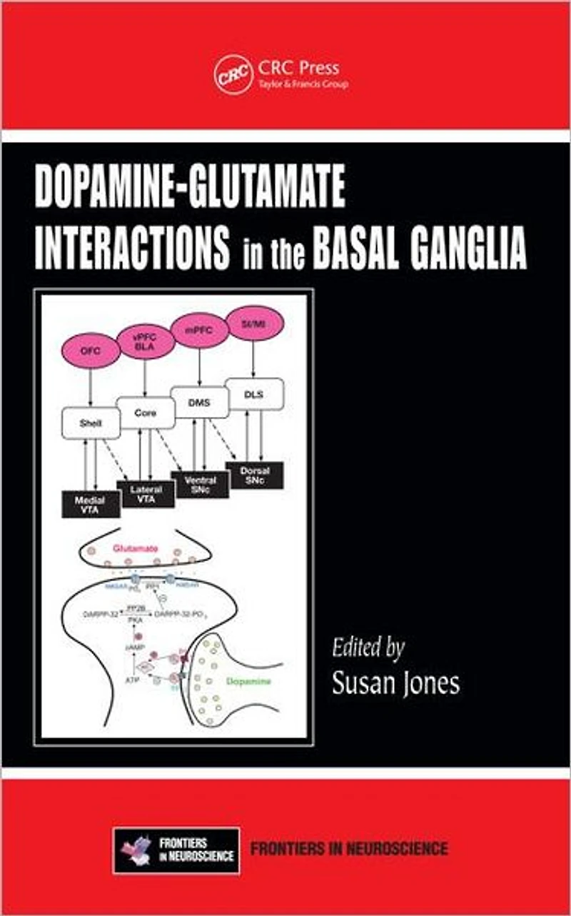 Dopamine - Glutamate Interactions the Basal Ganglia