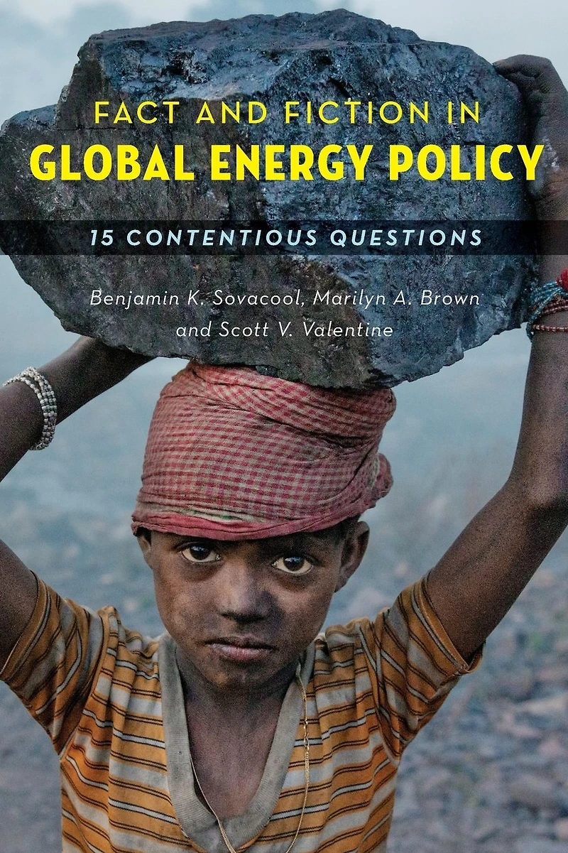 Fact and Fiction Global Energy Policy: Fifteen Contentious Questions