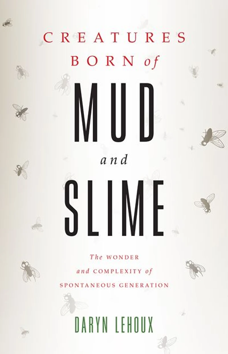 Creatures Born of Mud and Slime: The Wonder Complexity Spontaneous Generation