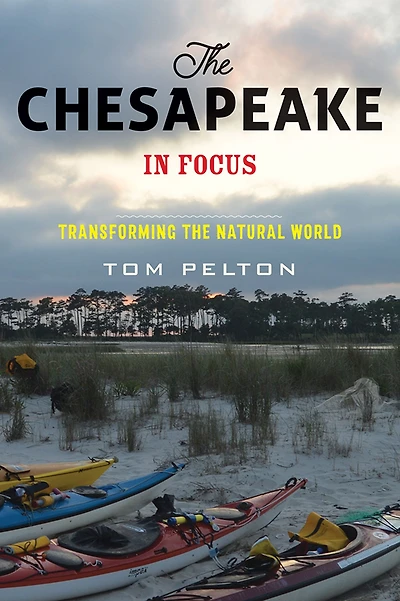 the Chesapeake Focus: Transforming Natural World