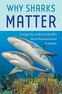Why Sharks Matter: A Deep Dive with the World's Most Misunderstood Predator