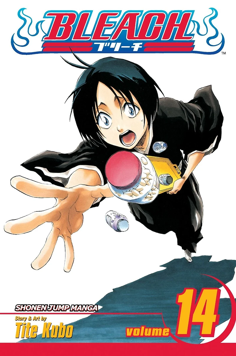 Bleach, Vol. 14: White Tower Rocks