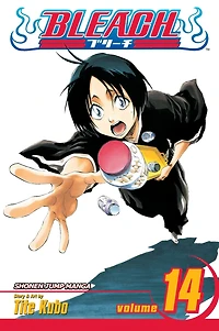 Bleach, Vol. 14: White Tower Rocks
