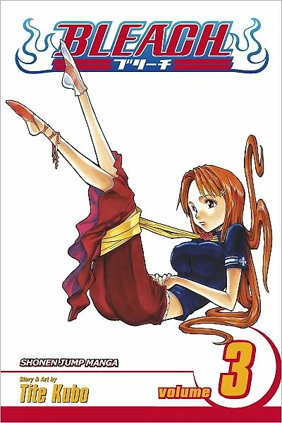 Bleach, Vol. 3: Memories the Rain