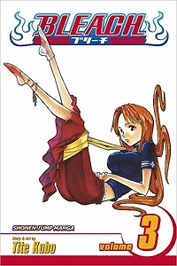 Bleach, Vol. 3: Memories the Rain