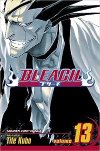 Bleach, Vol. 13: The Undead