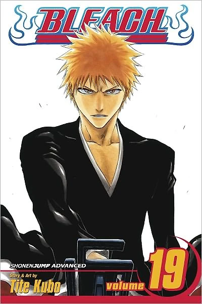 Bleach, Vol. 19: The Black Moon Rising