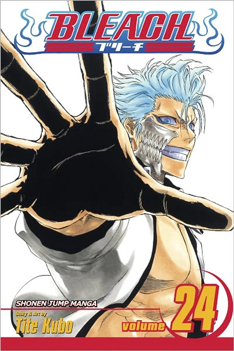 Bleach, Vol. 24: Immanent God Blues