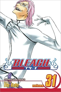 Bleach, Vol. 31: Don't Kill My Volupture