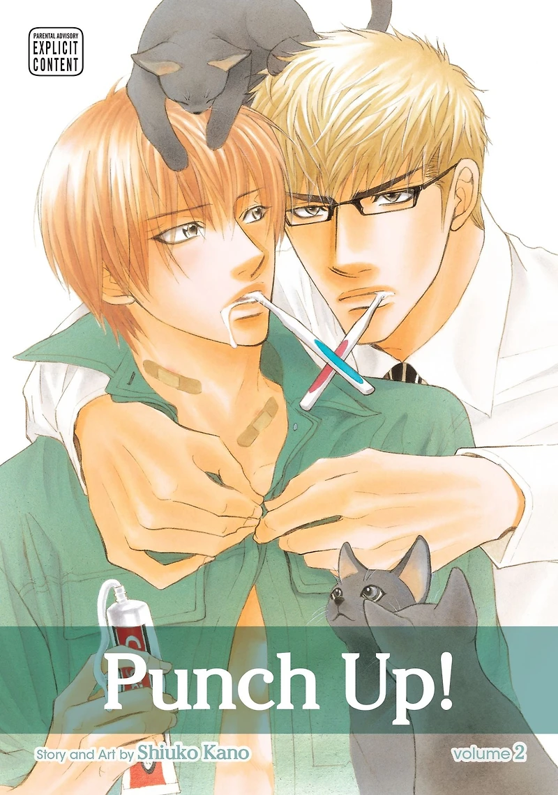 Punch Up!, Vol. 2 (Yaoi Manga)