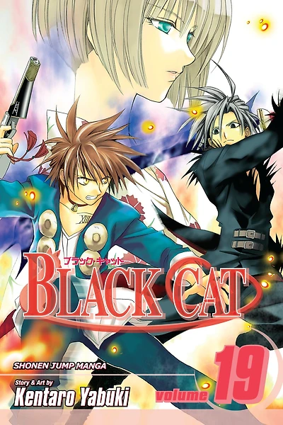 Black Cat, Vol. 19: As a Sweeper
