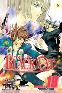 Black Cat, Vol. 19: As a Sweeper