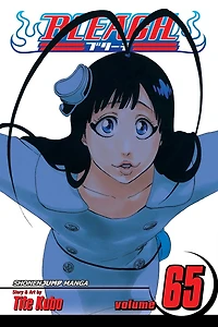 Bleach, Vol. 65: Marching Out the Zombies