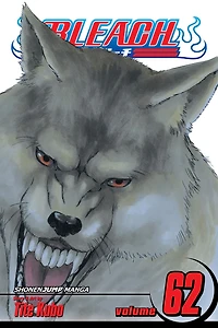 Bleach, Vol. 62: Heart of Wolf