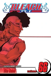 Bleach, Vol. 66: Sorry I Am Strong