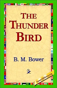 The Thunder Bird