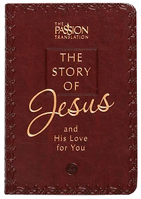 The Story of Jesus: and His Love For You