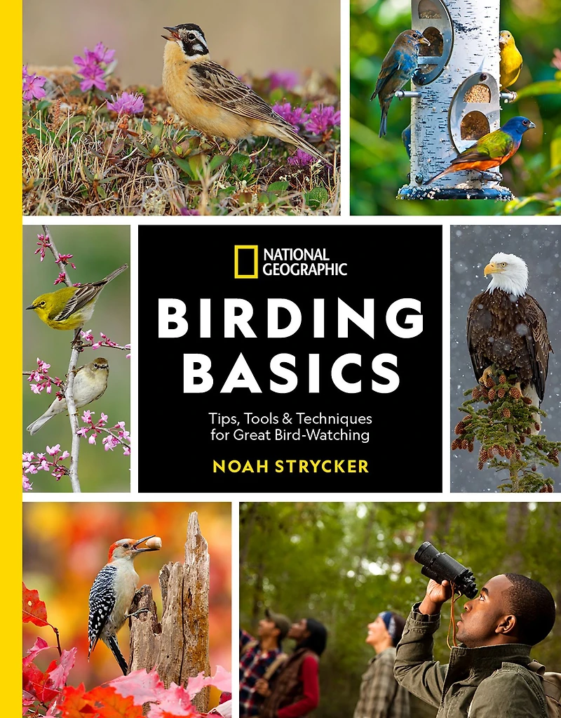 National Geographic Birding Basics: Tips, Tools, and Techniques for Great Bird-watching