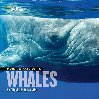 Face to with Whales