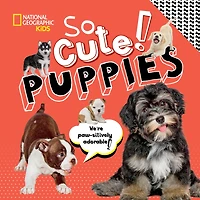 So Cute! Puppies