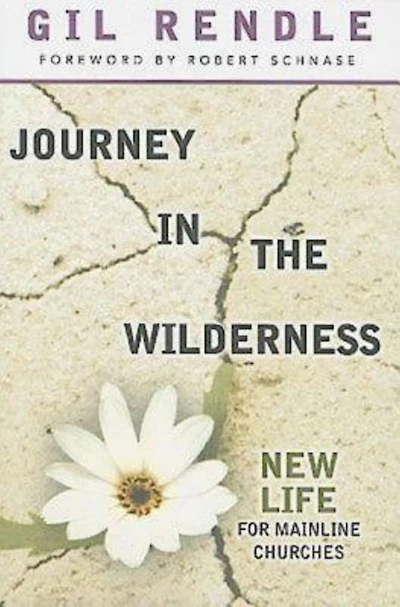 Journey the Wilderness: New Life for Mainline Churches