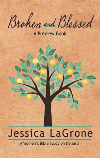 Broken and Blessed - Preview Book: How God Used One Imperfect Family to Change the World
