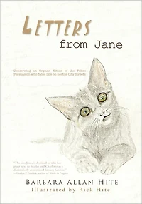 Letters from Jane: The Adventures of an Abandoned Kitten