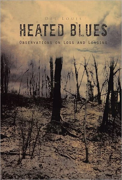 HEATED BLUES: OBSERVATION ON LOSS AND LONGING