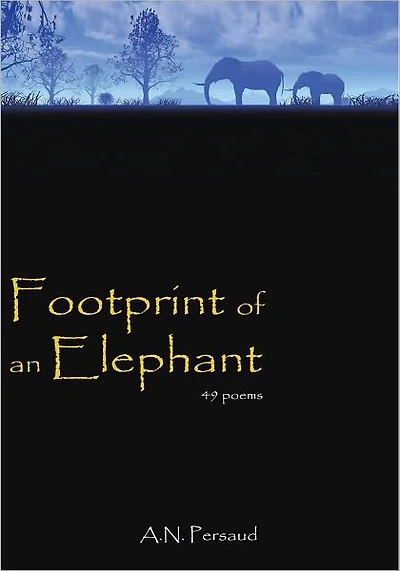 Footprint of an Elephant