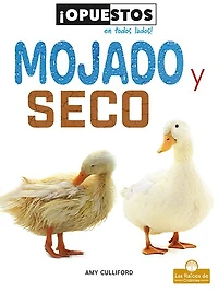 Mojado y seco (Wet and Dry)