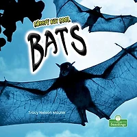 Creepy but Cool Bats