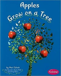 Apples Grow on a Tree