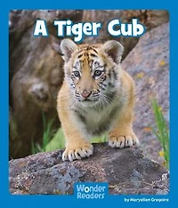 A Tiger Cub
