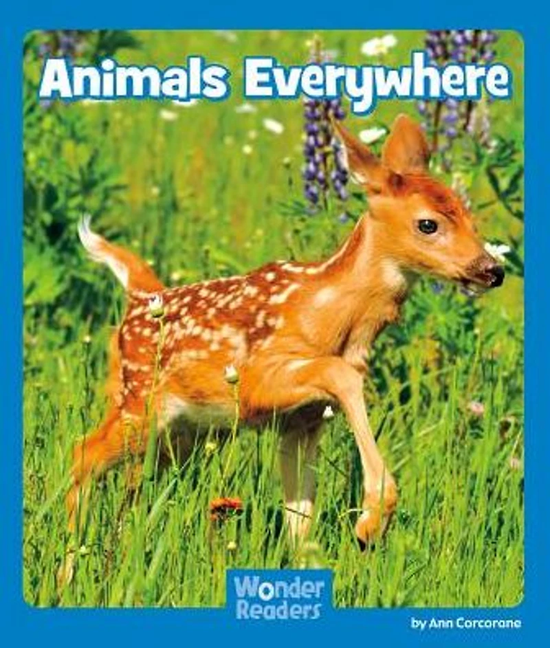 Animals Everywhere