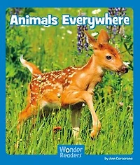 Animals Everywhere