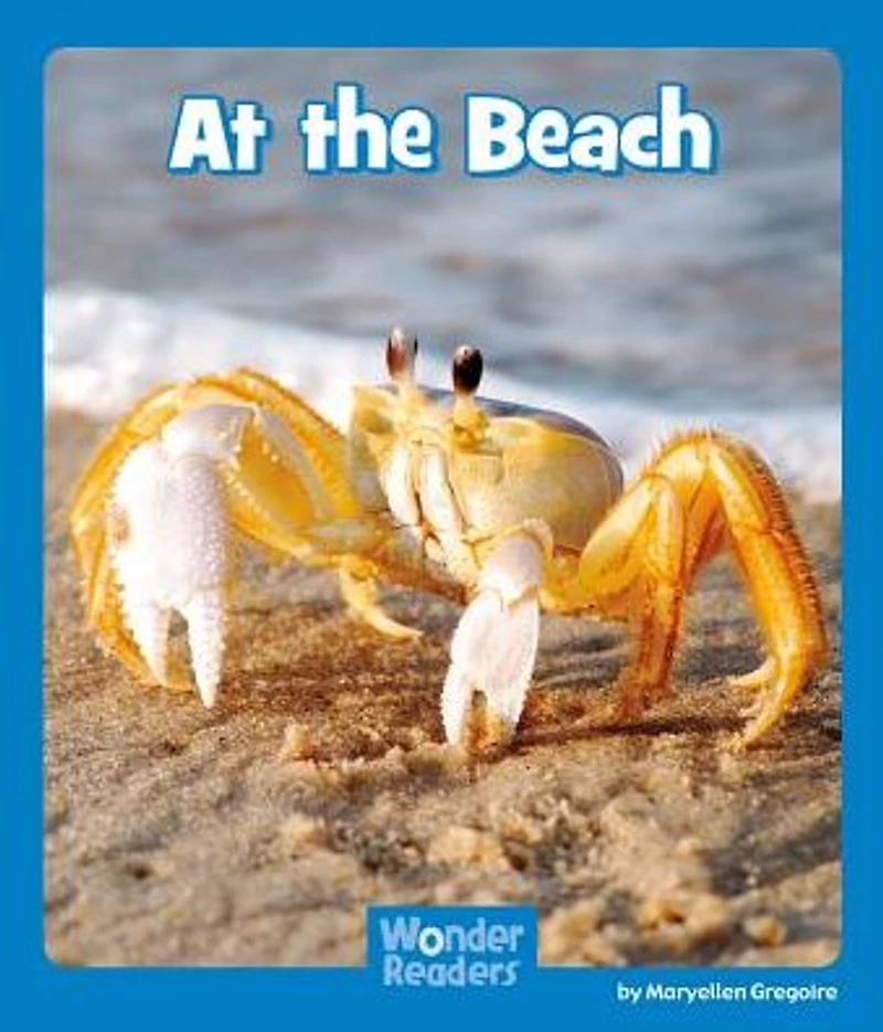 At the Beach