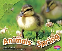 Animals Spring
