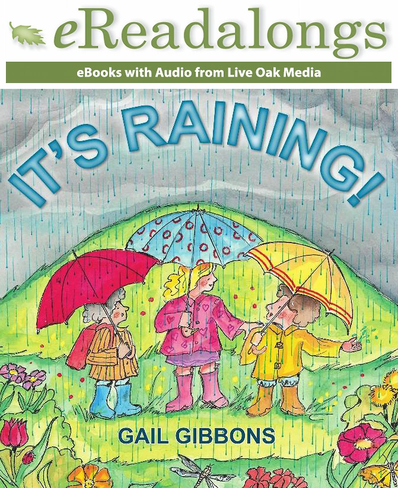 It's Raining