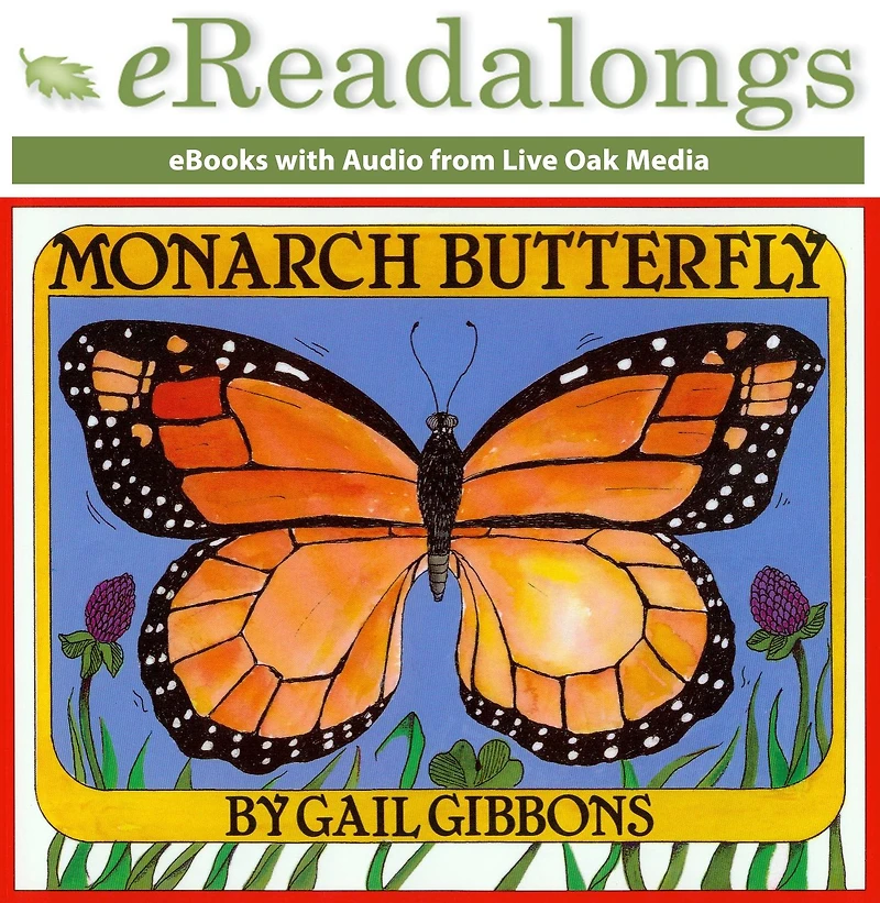 Monarch Butterfly