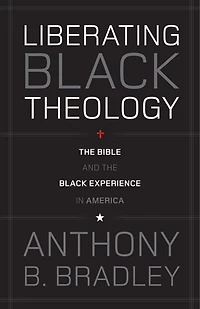 Liberating Black Theology: the Bible and Experience America