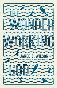 the Wonder-Working God: Seeing Glory of Jesus His Miracles