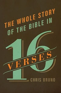 the Whole Story of Bible 16 Verses