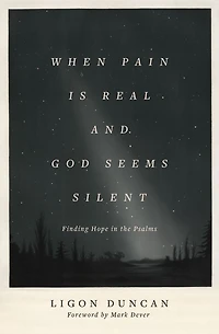 When Pain Is Real and God Seems Silent: Finding Hope the Psalms