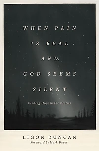 When Pain Is Real and God Seems Silent: Finding Hope the Psalms