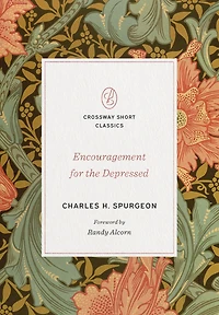 Encouragement for the Depressed
